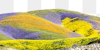 Colorful flower hill png border, Spring image, transparent background
