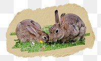 PNG Rabbit in a garden, collage element, transparent background