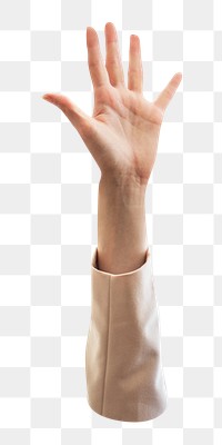 Raising hand png sticker, transparent background