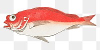 Hiroshige's png Medetai Fish, transparent background.   Remastered by rawpixel. 