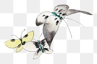 Hokusai’s Butterflies and Moths png on transparent background. Remastered by rawpixel. 