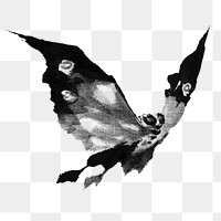 Hokusai’s black moth png sticker on transparent background. Remixed by rawpixel.