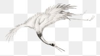 Japanese crane png on transparent background.    Remastered by rawpixel. 