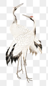 Japanese cranes png on transparent background.    Remastered by rawpixel. 