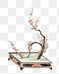 Japanese flower arrangement png on transparent background.    Remastered by rawpixel. 