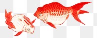 Png Two Goldfish in Water, transparent background. Remastered by rawpixel. 