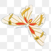 Beautiful butterfly png sticker, vintage insect illustration, transparent background