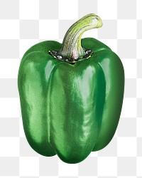 Green bell pepper png sticker, transparent background