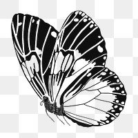 Black butterfly png sticker, vintage insect on transparent background. Remixed from the artwork of E.A. Séguy.