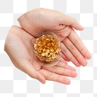 Hand presenting gold pine cone png sticker, transparent background