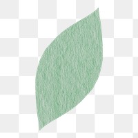 Watercolor green leaf png sticker, nature, transparent background