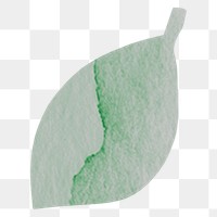 PNG leaf sticker, green watercolor aesthetic, transparent background