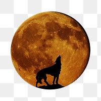 Wolf & moon png sticker, animal image, transparent background