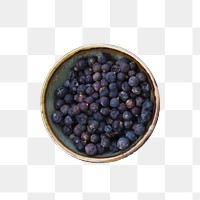 Juniper berries bowl png sticker, transparent background