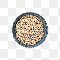 Coriander seeds png sticker, transparent background