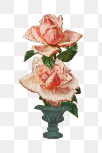 Pink rose png flower sticker, transparent background. Remastered by rawpixel.