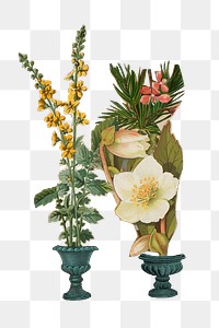 Flower vase png sticker, transparent background. Remastered by rawpixel.