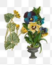 Pansies png flower arrangement sticker, transparent background. Remastered by rawpixel.