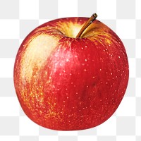 Red apple png, transparent background