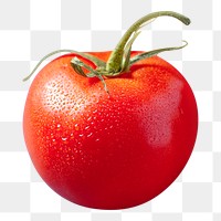 Png tomato, transparent background