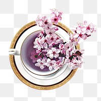 Pink sakura tea cup png, transparent background