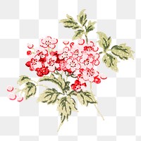 Vintage png cherry blossom watercolor, transparent background