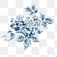 Vintage png cherry blossom, blue watercolor, transparent background