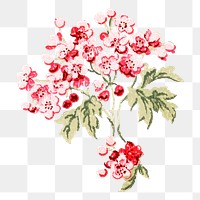 Png cherry blossom watercolor flower, transparent background