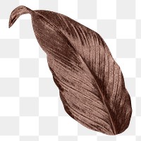 Autumn leaf png vintage brown, transparent background