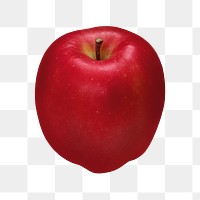 Png apple, transparent background