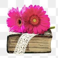 Daisies & book png collage element, transparent background