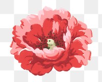 PNG Red poppy illustration transparent background. Remixed by rawpixel.