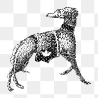 PNG Black and white dog illustration transparent background. Remixed by rawpixel.