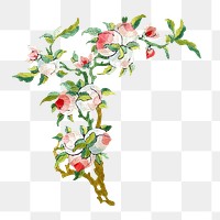 PNG Chinese flowers, vintage botanical illustration, transparent background.  Remixed by rawpixel. 