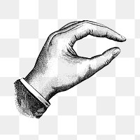 PNG Vintage hand, gesture illustration  by Eagle Pencil Co, transparent background.  Remixed by rawpixel. 