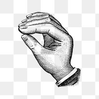 PNG Vintage hand, gesture illustration  by Eagle Pencil Co, transparent background.  Remixed by rawpixel. 