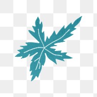 PNG Blue leaf, vintage botanical illustration, transparent background.  Remixed by rawpixel. 