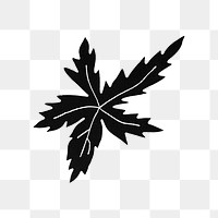 PNG Black leaf, vintage botanical illustration, transparent background.  Remixed by rawpixel. 