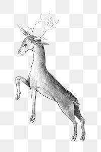 PNG Stag deer, vintage mythical creature illustration, transparent background.  Remixed by rawpixel. 