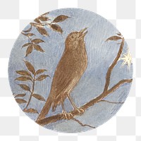 PNG The Nightingale, bird illustration by Alfred W. Cooper, transparent background.  Remixed by rawpixel. 