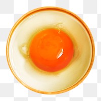 Raw eggs png collage element on transparent background