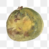 Green apple png watercolor collage element, transparent background. Remixed by rawpixel.