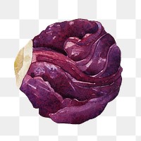 Red cabbage png watercolor collage element, transparent background. Remixed by rawpixel.