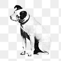 PNG curious dog vintage illustration on transparent background. Remixed by rawpixel. 