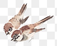 PNG Sparrow birds, Japanese traditional illustration by Teisai Hokuba, transparent background. Remixed by rawpixel.