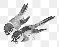 PNG Sparrow birds, Japanese traditional illustration by Teisai Hokuba, transparent background. Remixed by rawpixel.