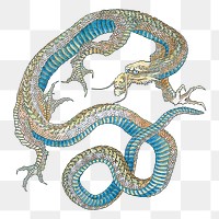 PNG Japanese dragon, vintage mythical creature illustration by  Obuse Hokusaikan, transparent background. Remixed by rawpixel.