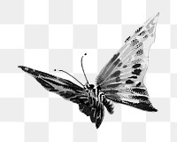 Butterfly monotone png animal, transparent background. Remixed by rawpixel.