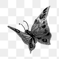 Butterfly monotone png animal, transparent background. Remixed by rawpixel.