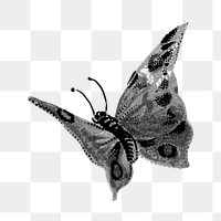 Butterfly monotone png animal, transparent background. Remixed by rawpixel.